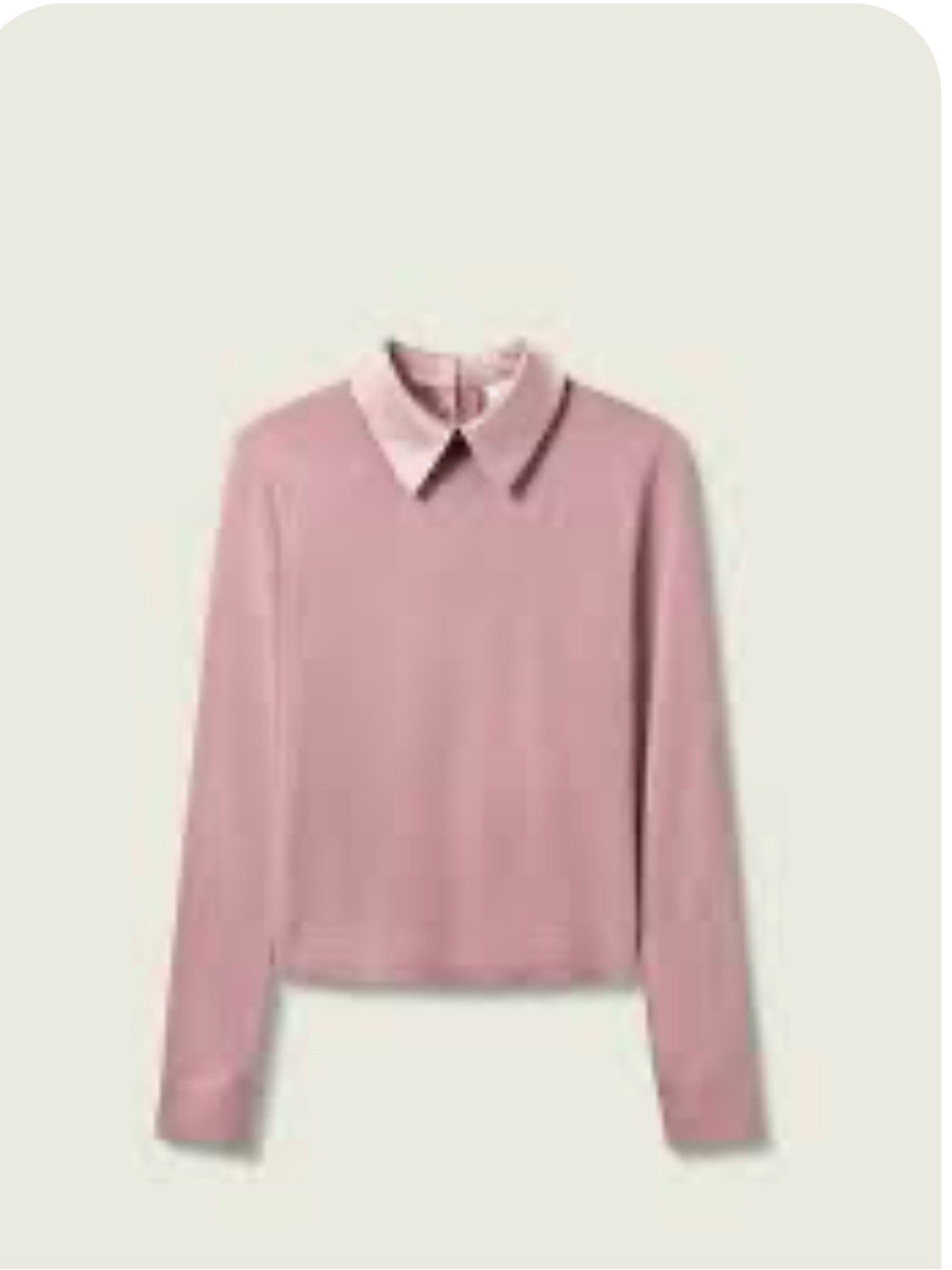 Lily Silk + Elizabeth Steward  Collared Sweater
